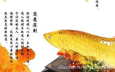 龙鱼送人：将龙鱼送人是可以的，但需要注意以下几点 龙鱼百科 第4张