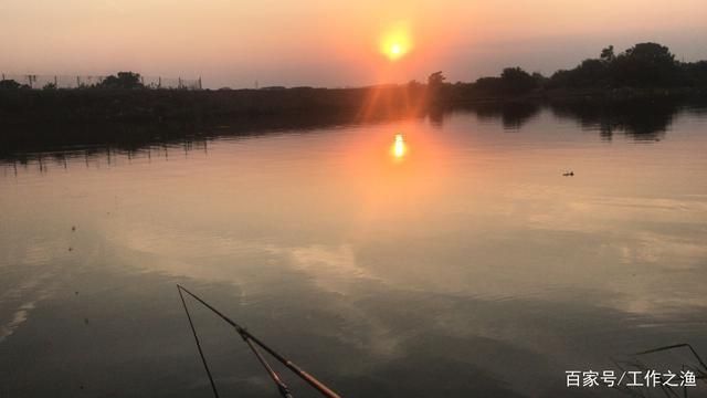 龙鱼开缸需要多久时间换水：养龙鱼开缸后，多久换一次水？ 水族问答 第1张