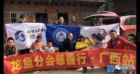 萨伊蓝鱼混养注意事项：萨伊蓝鱼在混养时需要注意什么？ 龙鱼百科 第5张