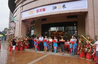 金龙鱼加盟店怎么样：金龙鱼加盟店市场表现及加盟优势、品牌影响力影响力提升 龙鱼百科 第3张