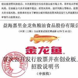 金龙鱼案例：金龙鱼案例分析 龙鱼百科 第2张