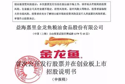 金龙鱼案例：金龙鱼案例分析 龙鱼百科 第3张