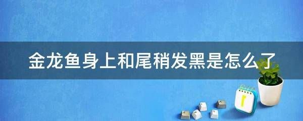 金龙鱼背上发黑是什么原因：金龙鱼背部发黑可能是什么原因引起的 龙鱼百科 第5张