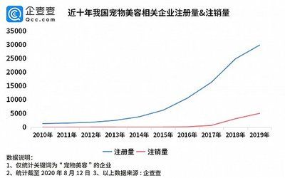 龙鱼价格表今天：今天龙鱼的价格表 龙鱼百科 第3张