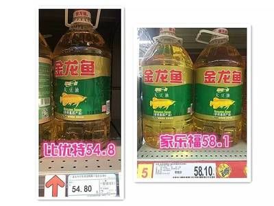 金龙鱼好还是93好：金龙鱼和93哪个好 龙鱼百科 第4张