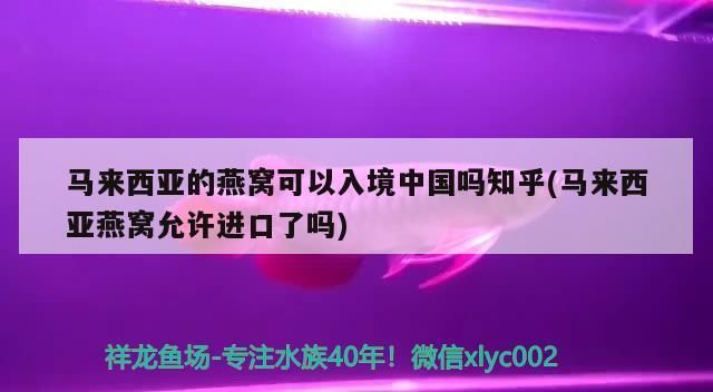 龙鱼鳞掉了多久能长出来新的：为什么龙鱼的鳞会掉落，并且多久才能长出新的鳞片？ 水族问答 第1张