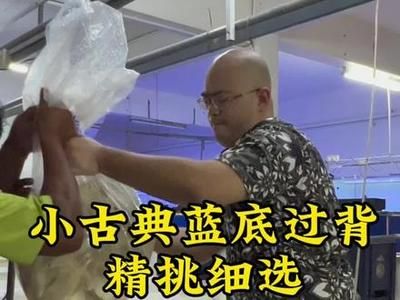 龙鱼鳞片烂了一块怎么回事：如何判断龙鱼鳞片的严重性？ 水族问答 第2张