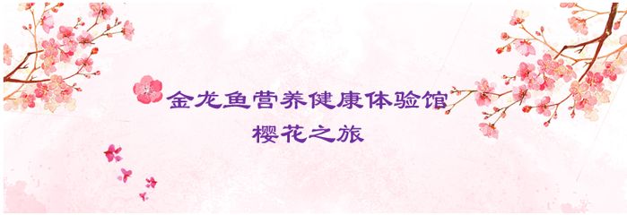 金龙鱼营养健康体验馆怎么样：金龙鱼体验馆具有多方面的积极特点 龙鱼百科 第3张