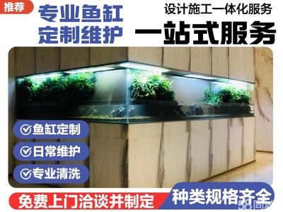 龙鱼鳞片有虫怎样治：如何判断龙鱼是否感染了寄生虫？ 水族问答 第2张