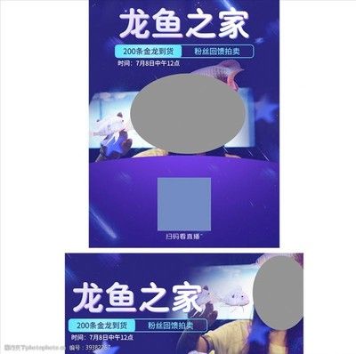 龙鱼扫码什么意思：——龙鱼扫码器使用方法 龙鱼百科 第1张