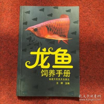 龙鱼饲养方法和技术：关于龙鱼饲养的方法和技术 龙鱼百科 第4张