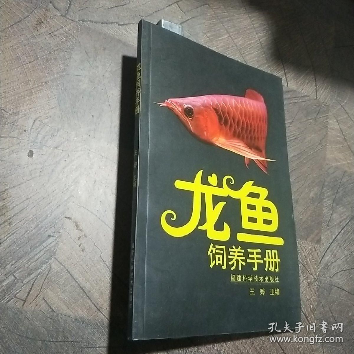 龙鱼饲养方法和技术：关于龙鱼饲养的方法和技术 龙鱼百科 第5张