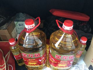 金龙鱼鉴定最简单方法是什么：如何辨别金龙鱼的真伪 龙鱼百科 第5张