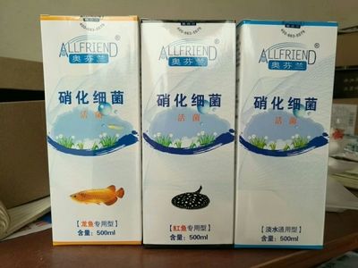 龙鱼滤材哪个牌子好：在选择龙鱼滤材时，品牌是一个重要的考虑因素 龙鱼百科 第1张