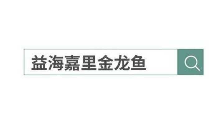 金龙鱼宣传片文案：金龙鱼———传承与创新的完美演绎 龙鱼百科 第5张