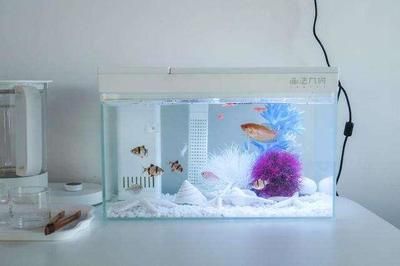 龙鱼蒙眼怎样治疗：龙鱼蒙眼是怎么得的？ 水族问答 第2张