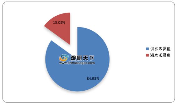 龙鱼蒙眼最好治疗方法贴吧：龙鱼蒙眼怎么办