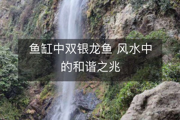 银龙鱼与家居桃花运的关系：家居风水布局建议银龙鱼选购指南 龙鱼百科 第2张