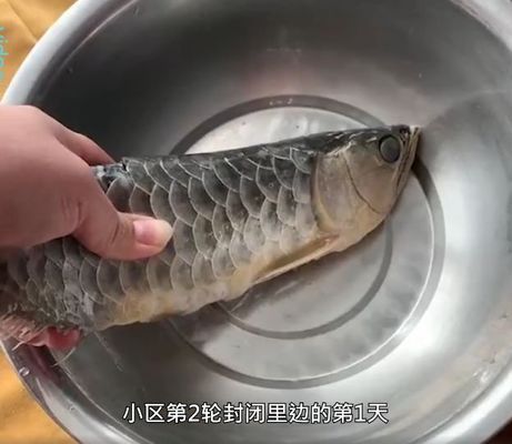 金龙鱼的味道怎么样好闻吗：金龙鱼产品健康成分解析 龙鱼百科 第3张