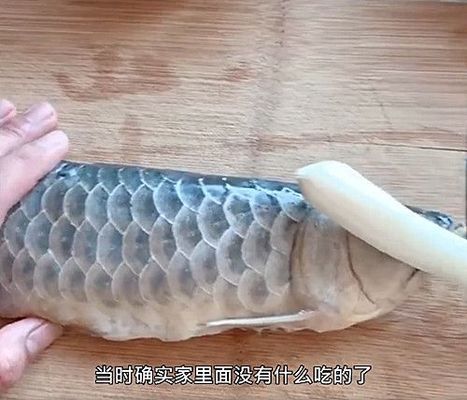 金龙鱼的味道怎么样好闻吗：金龙鱼产品健康成分解析 龙鱼百科 第2张