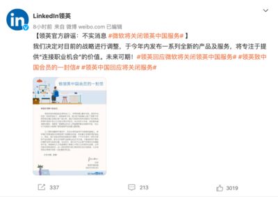 金龙鱼头像 微信：金龙鱼微信头像设计技巧金龙鱼头像设计技巧 龙鱼百科 第1张