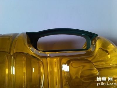 金龙鱼盖子怎么开：如何打开金龙鱼的盖子 龙鱼百科 第4张