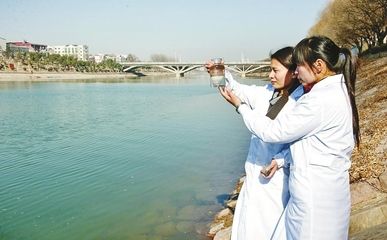 龙鱼能招财吗：龙鱼在风水学中的象征意义 水族问答 第2张