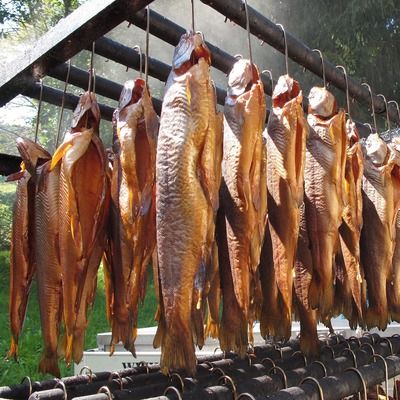 龙鱼趴缸人一过去就起来吃食正常吗：龙鱼在人靠近时突然起身吃食，正常吗？ 水族问答 第1张