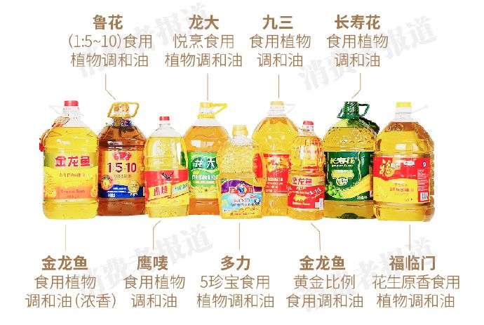 龙鱼品种排行榜：龙鱼品种排行榜上，哪些品种是最受欢迎的？ 水族问答 第2张