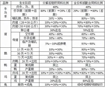 金鼓鱼不同阶段饲料选择指南：金鼓鱼不同阶段的饲料选择指南 非洲金鼓鱼 第1张