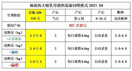 金鼓鱼不同阶段饲料选择指南：金鼓鱼不同阶段的饲料选择指南 非洲金鼓鱼 第3张