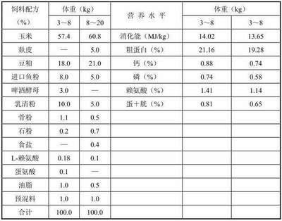 金鼓鱼不同阶段饲料选择指南：金鼓鱼不同阶段的饲料选择指南 非洲金鼓鱼 第4张