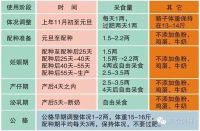 金鼓鱼不同阶段饲料选择指南：金鼓鱼不同阶段的饲料选择指南 非洲金鼓鱼 第5张