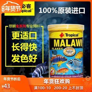 埃及神仙鱼饲料选择指南：埃及品神仙鱼饲料选择指南 埃及神仙鱼 第5张