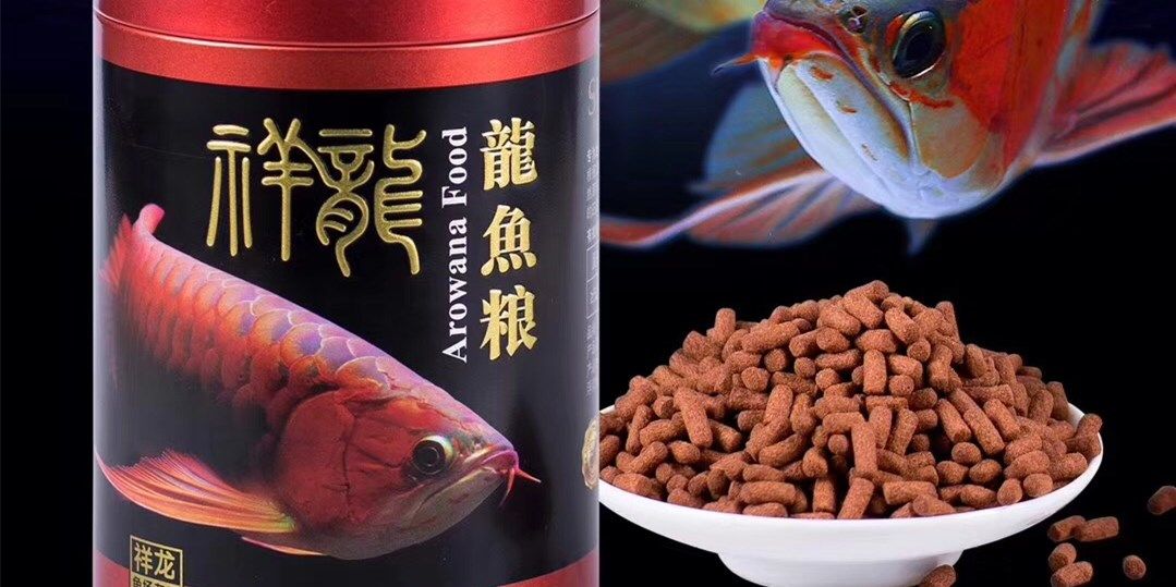 红龙鱼增色秘籍，祥龙鱼场红龙鱼专用饲料：祥龙鱼场红龙鱼专用饲料 红龙鱼