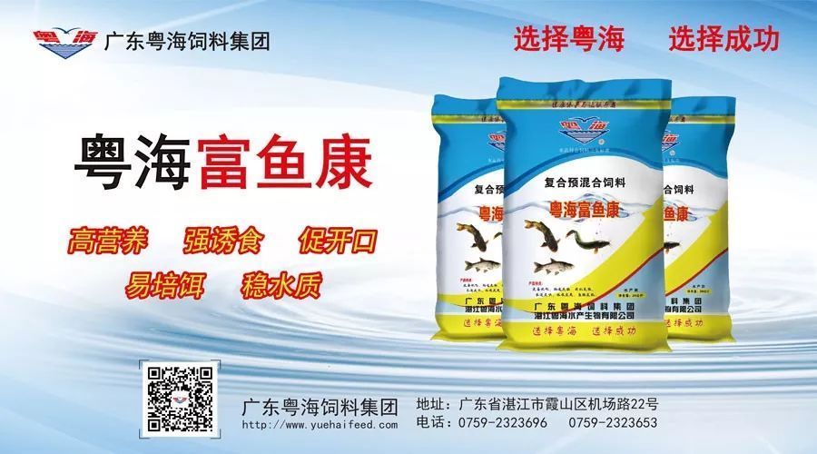 龙鱼是海鲜还是河鲜：龙鱼是海鲜而不是河鲜吗？ 水族问答 第1张