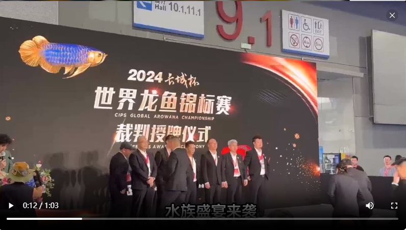 2024“长城杯”龙鱼锦标赛冠军鱼只：2024“长城杯”龙鱼锦标赛冠军鱼 混养鱼（配鱼）