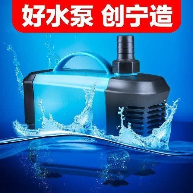 龙鱼属于风水鱼吗：龙鱼在风水中有何象征意义？ 水族问答 第1张