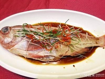 龙鱼水温高影响食欲吗：-高水温可能导致龙鱼食欲不受影响 水族问答 第1张