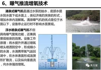 自然水体增氧技术应用案例：微孔增氧技术和微孔管道增氧技术对水产品质量的影响 其他宠物 第4张