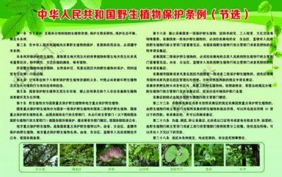 湖南省野生动植物保护条例解读：关于湖南省野生动植物资源保护条例的解读 其他宠物 第1张