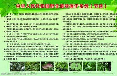 湖南省野生动植物保护条例解读：关于湖南省野生动植物资源保护条例的解读 其他宠物 第4张