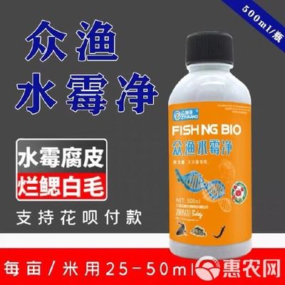 龙鱼四大品牌是什么：龙鱼四大品牌包括哪些， 水族问答 第2张