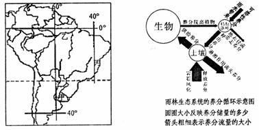 亚马逊河生态平衡的关键因素：亚马逊河流域的生态平衡 巴西亚鱼苗 第3张