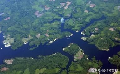 亚马逊河流域生态旅游景点：亚马逊河流域的生态旅游 巴西亚鱼苗 第6张