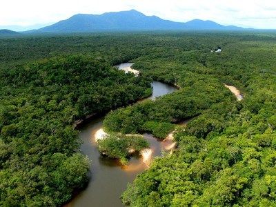 亚马逊河流域生态旅游发展：亚马逊河流域生态旅游发展趋势分析 巴西亚鱼苗 第4张