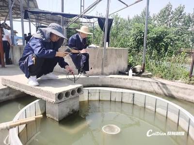 繁殖池水质监测技术：水产养殖水质监测系统 其他宠物 第1张