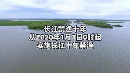 长江生态恢复的具体措施：长江生态恢复是一个复杂的系统工程实现生态系统的可持续性和稳定性 其他宠物 第5张