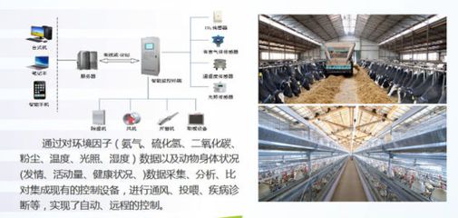 饲料监控系统在其他行业的应用：饲料监控系统在其他行业中的应用 其他宠物 第3张