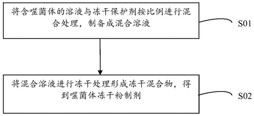 噬菌体制备及保存技术探讨：噬菌体制备及保存技术的优缺点分析噬菌体展示技术的优缺点 其他宠物 第2张